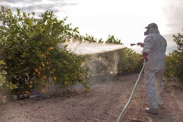 Best Exterminator Services  in Balmville, NY