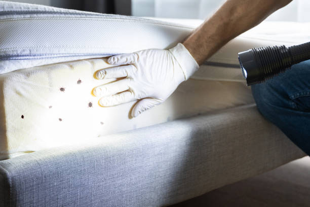 Best Best Pest Control Companies  in Balmville, NY