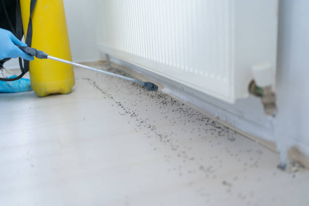 Best Pest Inspection Near Me  in Balmville, NY