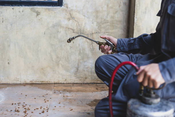 Best Wasp Removal Services  in Balmville, NY